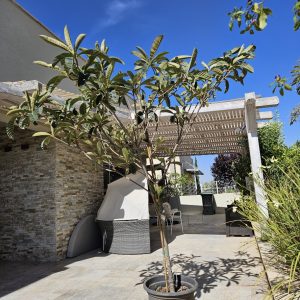 שסק מורכב - 50 ליטר
